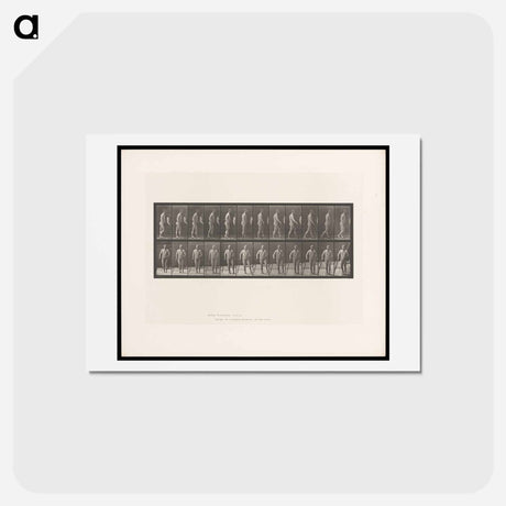 アートポストカード-Hemiplegic Man Walking
 - エドワード マイブリッジ Postcard.