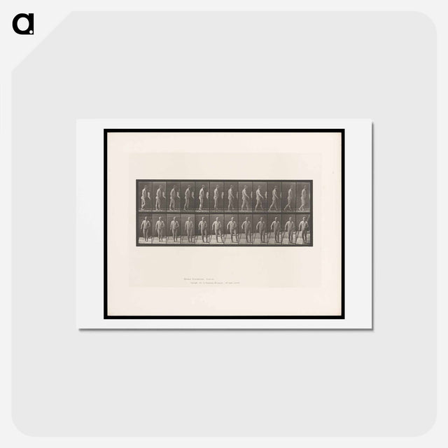 アートポストカード-Hemiplegic Man Walking
 - エドワード マイブリッジ Postcard.