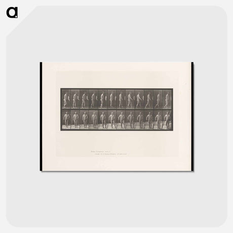 アートポストカード-Hemiplegic Man Walking
 - エドワード マイブリッジ Postcard.