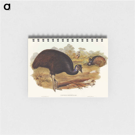 アートメモ帳-Bennett's Cassowary
 - オーストラリアの鳥 Memo.