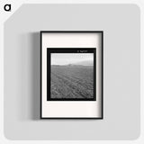 Untitled photo, possibly related to: Spreckels sugar factory and sugar beet field with Mexican and Filipino workers thinning sugar beets. - ドロテア ラング Poster.