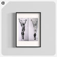 アートポスター-Musculature of the Human Body
 - 国立医学図書館 Poster.