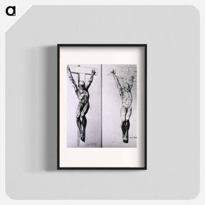 アートポスター-Musculature of the Human Body
 - 国立医学図書館 Poster.
