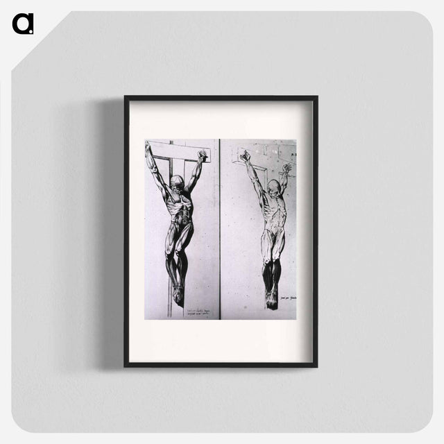 アートポスター-Musculature of the Human Body
 - 国立医学図書館 Poster.