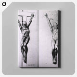 アートパネル-Musculature of the Human Body
 - 国立医学図書館 Canvas.