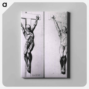 アートパネル-Musculature of the Human Body
 - 国立医学図書館 Canvas.