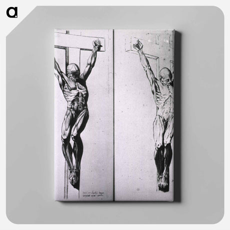 アートパネル-Musculature of the Human Body
 - 国立医学図書館 Canvas.