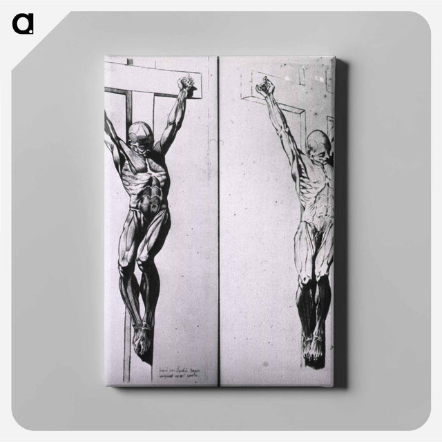 アートパネル-Musculature of the Human Body
 - 国立医学図書館 Canvas.