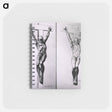 アートメモ帳-Musculature of the Human Body
 - 国立医学図書館 Memo.