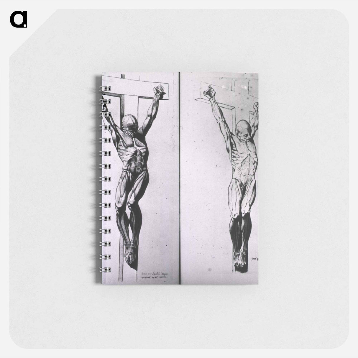 アートメモ帳-Musculature of the Human Body
 - 国立医学図書館 Memo.
