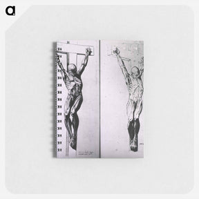 アートメモ帳-Musculature of the Human Body
 - 国立医学図書館 Memo.