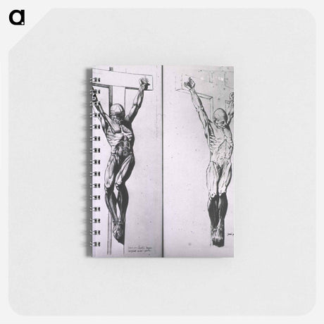アートメモ帳-Musculature of the Human Body
 - 国立医学図書館 Memo.