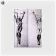 アートポストカード-Musculature of the Human Body
 - 国立医学図書館 Postcard.