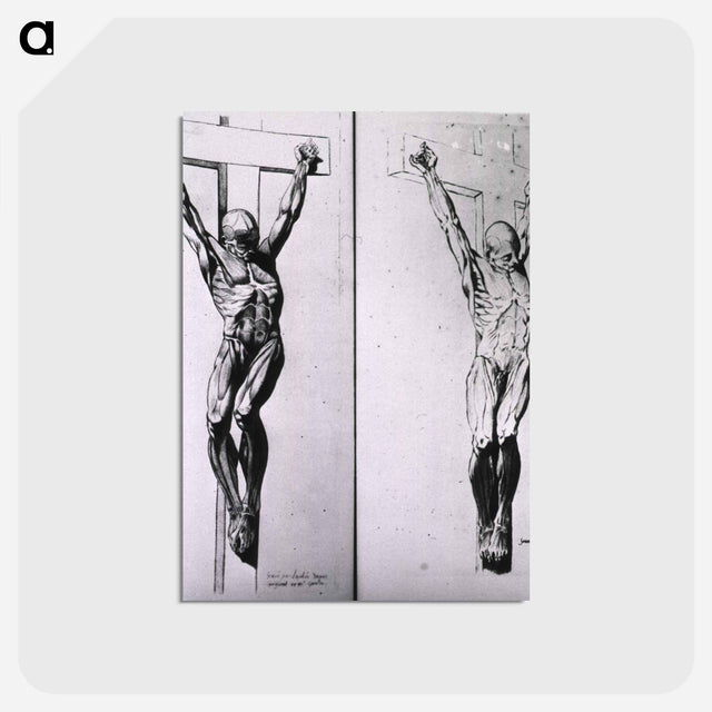 アートポストカード-Musculature of the Human Body
 - 国立医学図書館 Postcard.