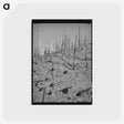 アートポストカード-Burned Over Forest Land
 - ラッセル リー Postcard.