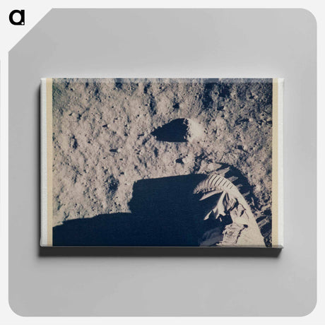 アートパネル-Apollo 11 Moon Landing
 - セントルイス美術館 Canvas.