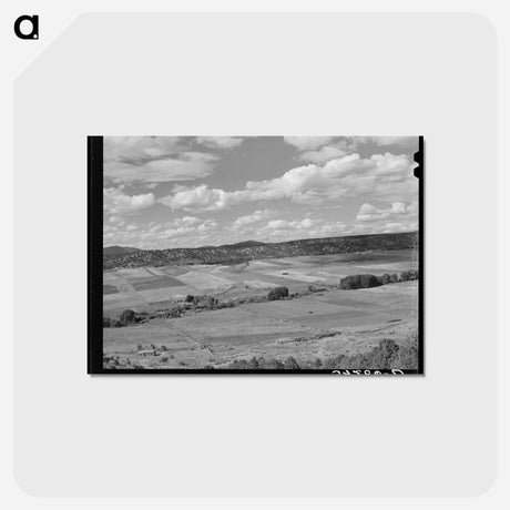 アートポストカード-Strip Farming, San Cristobal
 - ラッセル リー Postcard.