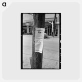 アートポストカード-Saint Martinville Death Notices
 - ラッセル リー Postcard.