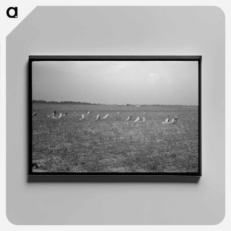 アートパネル-Lake Dick Cooperative
 - ラッセル リー Canvas.