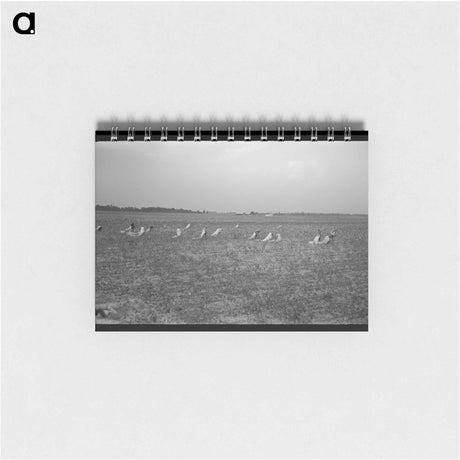 アートメモ帳-Lake Dick Cooperative
 - ラッセル リー Memo.