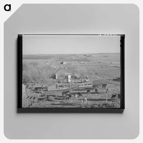 アートパネル-Farmstead and Farmland Near Almena
 - ラッセル リー Canvas.