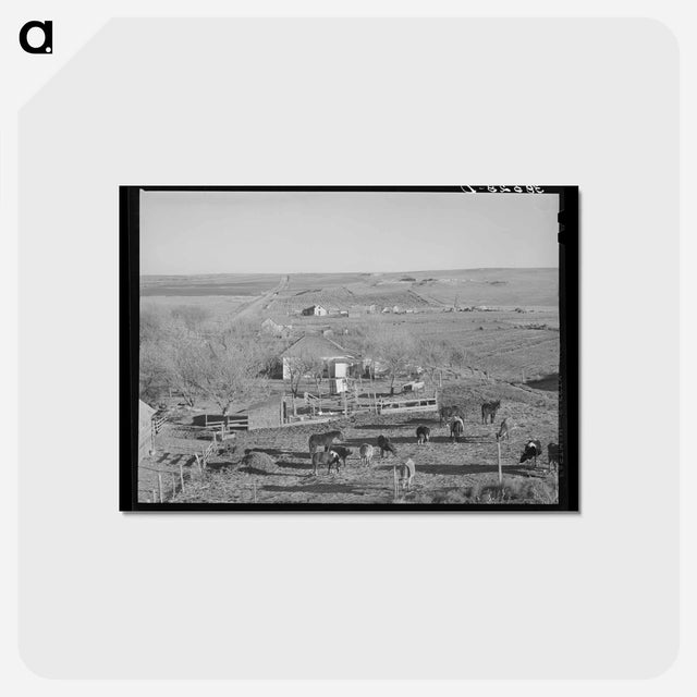 アートポストカード-Farmstead and Farmland Near Almena
 - ラッセル リー Postcard.