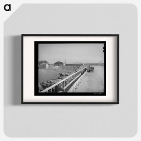 アートポスター-Dairy Cattle at Casa Grande Valley Farms
 - ラッセル リー Poster.