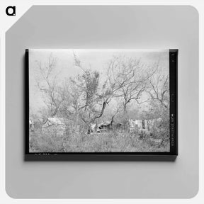 アートパネル-Migrant Camp in Mesquite
 - ラッセル リー Canvas.
