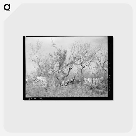 アートポストカード-Migrant Camp in Mesquite
 - ラッセル リー Postcard.