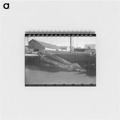 アートメモ帳-Logs Rolling into Pond
 - ラッセル リー Memo.