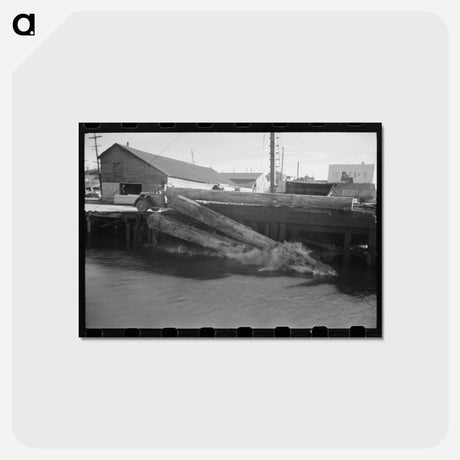 アートポストカード-Logs Rolling into Pond
 - ラッセル リー Postcard.