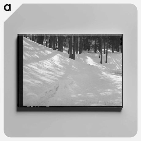 アートパネル-Eclipse Shadows in Bernalillo
 - ラッセル リー Canvas.