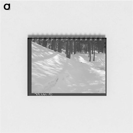 アートメモ帳-Eclipse Shadows in Bernalillo
 - ラッセル リー Memo.