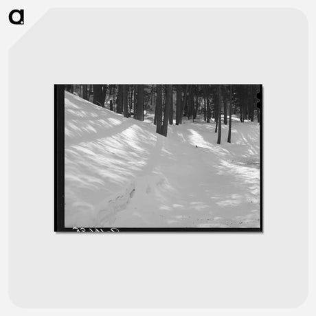 アートポストカード-Eclipse Shadows in Bernalillo
 - ラッセル リー Postcard.