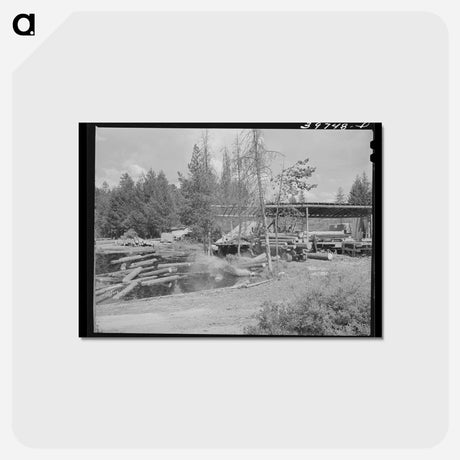 アートポストカード-Unloading Logs, Cascade
 - ラッセル リー Postcard.