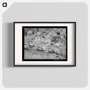 アートポスター-Carrizo Creek Cottonwoods
 - ラッセル リー Poster.