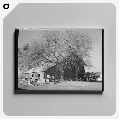 アートパネル-Barn of Fruit Farmer
 - ラッセル リー Canvas.