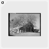 アートポストカード-Barn of Fruit Farmer
 - ラッセル リー Postcard.