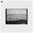 アートポストカード-The Uncompahgre River Valley at Ridgeway, Colorado
 - ラッセル リー Postcard.