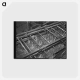 アートポストカード-Wool Scouring Machine
 - ラッセル リー Postcard.