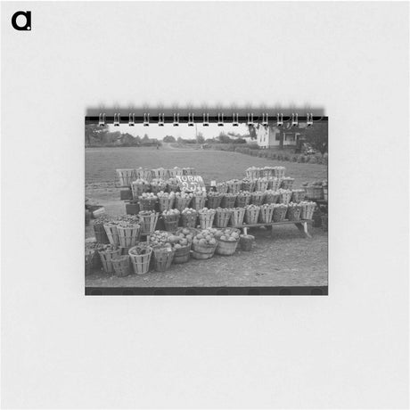 アートメモ帳-Roadside Vegetables
 - ラッセル リー Memo.