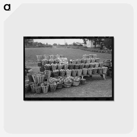 アートポストカード-Roadside Vegetables
 - ラッセル リー Postcard.