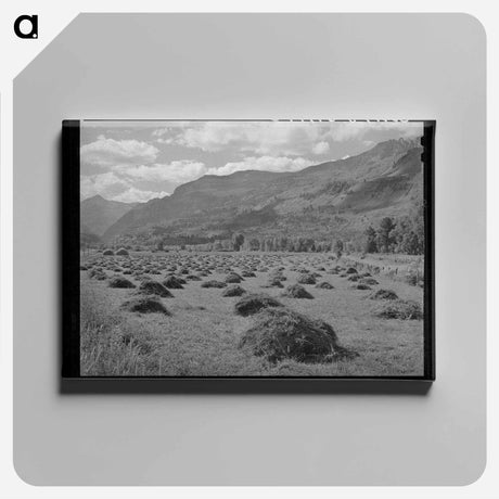 アートパネル-Uncompahgre Hay
 - ラッセル リー Canvas.