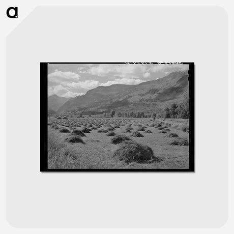 アートポストカード-Uncompahgre Hay
 - ラッセル リー Postcard.