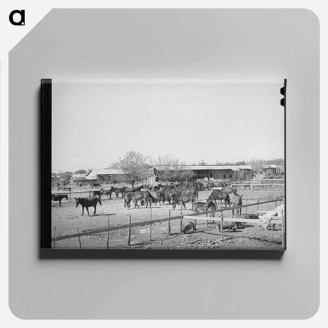 アートパネル-Mules in Sale Lot
 - ラッセル リー Canvas.