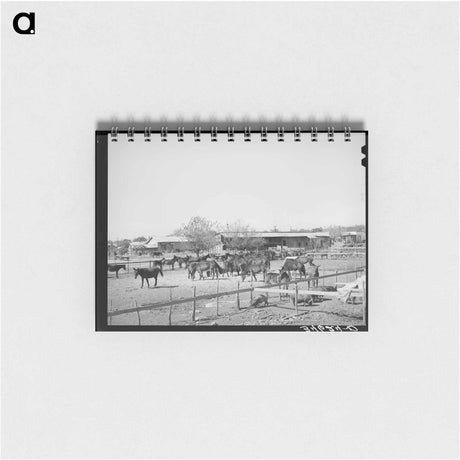 アートメモ帳-Mules in Sale Lot
 - ラッセル リー Memo.