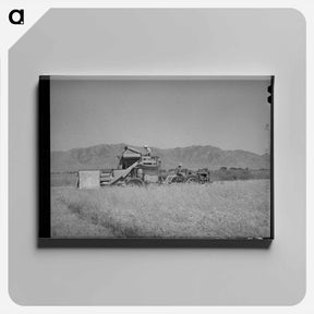 アートパネル-Cooperative Binder in Action
 - ラッセル リー Canvas.