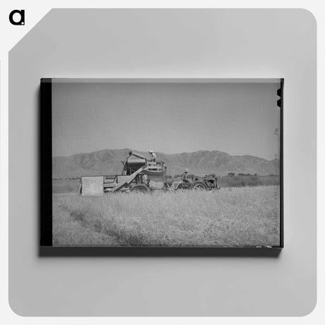 アートパネル-Cooperative Binder in Action
 - ラッセル リー Canvas.