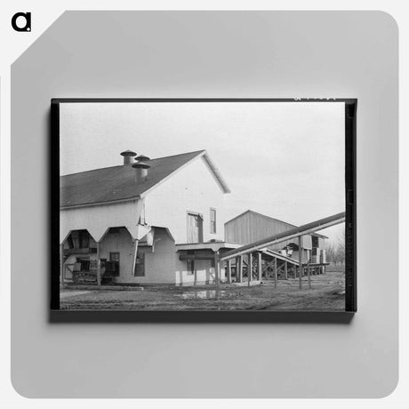 アートパネル-Cotton Gin and Warehouse, Sunflower Plantation
 - ラッセル リー Canvas.