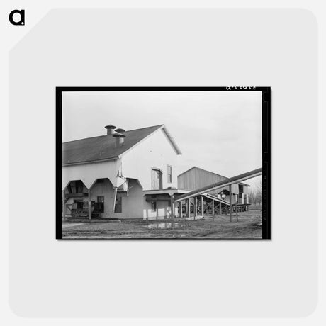 アートポストカード-Cotton Gin and Warehouse, Sunflower Plantation
 - ラッセル リー Postcard.